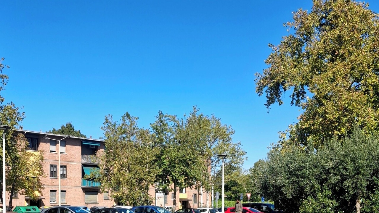 Photo of Outdoor in Province of Bologna