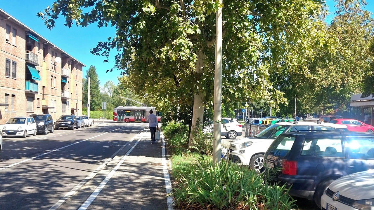 Photo of Outdoor in Province of Bologna