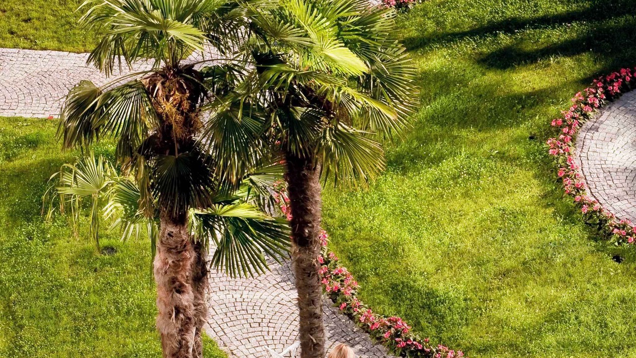 Photo of Outdoor in Baveno