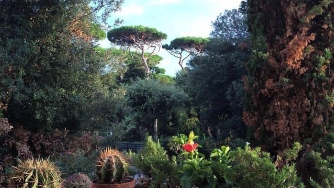 Photo of Outdoor in Fregenae