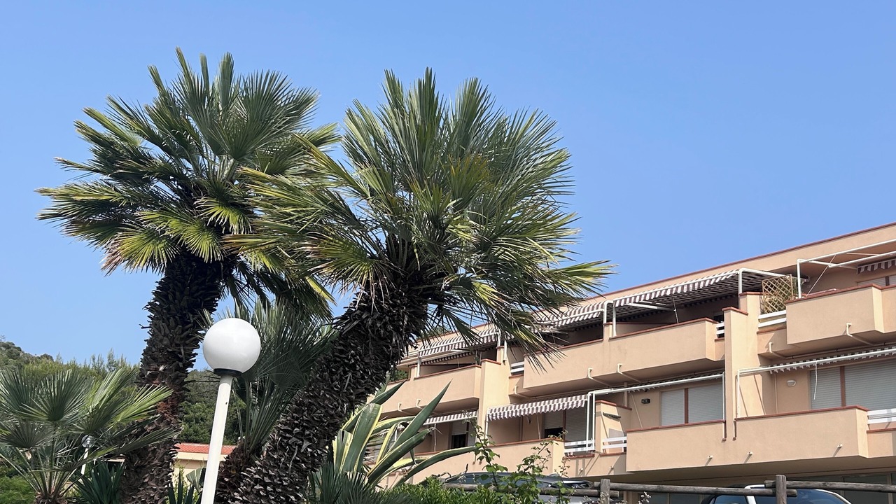 Photo of Outdoor in Castiglioncello