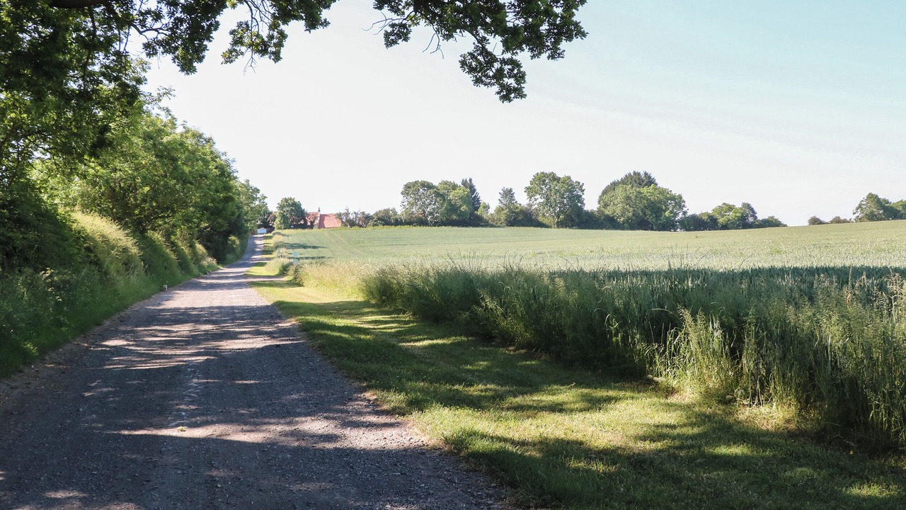 Photo of Outdoor in Northallerton