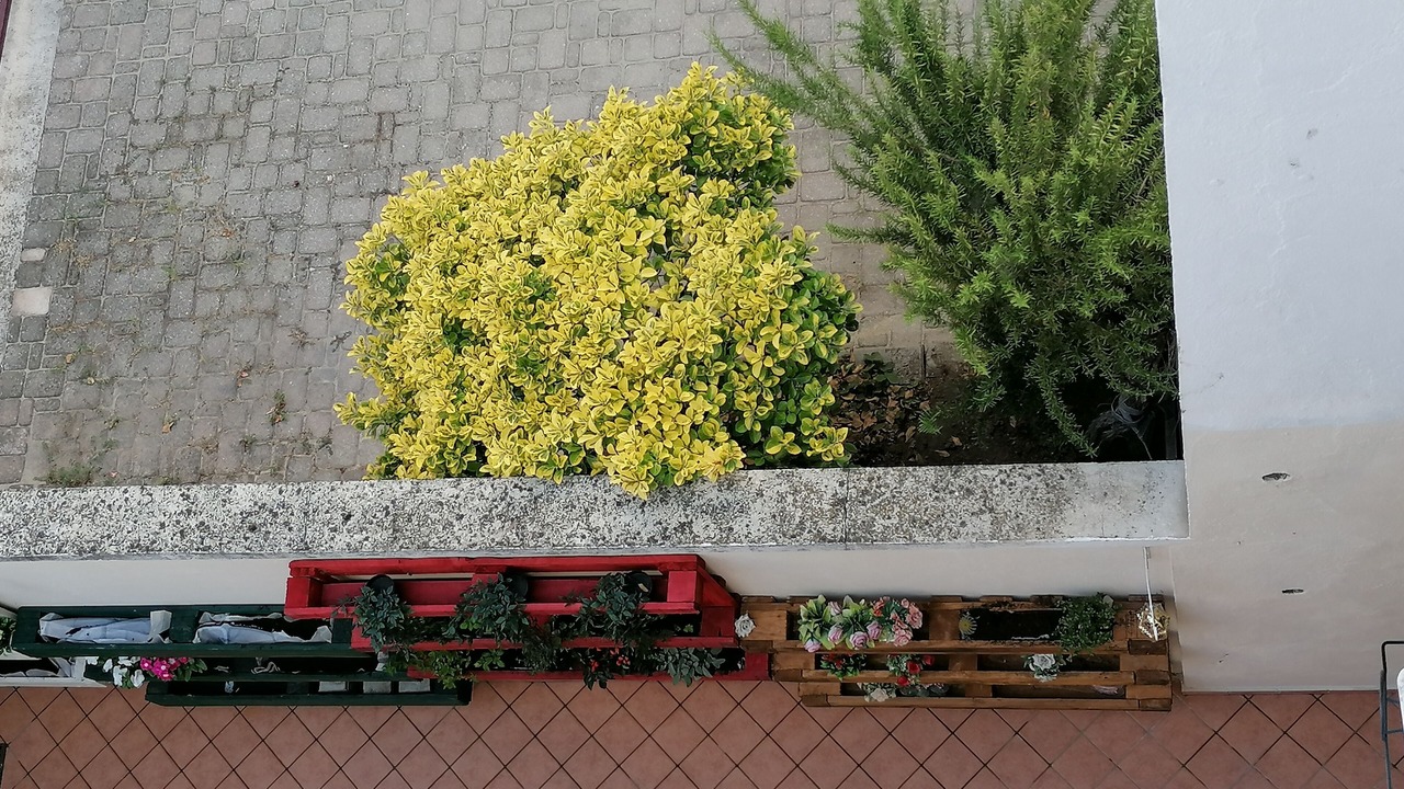 Photo of Outdoor in San Damiano dʼAsti