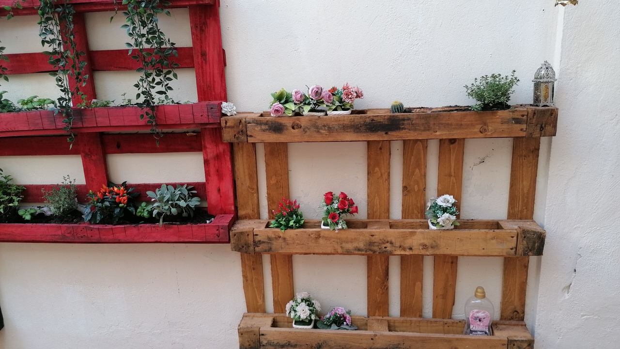 Photo of Outdoor in San Damiano dʼAsti