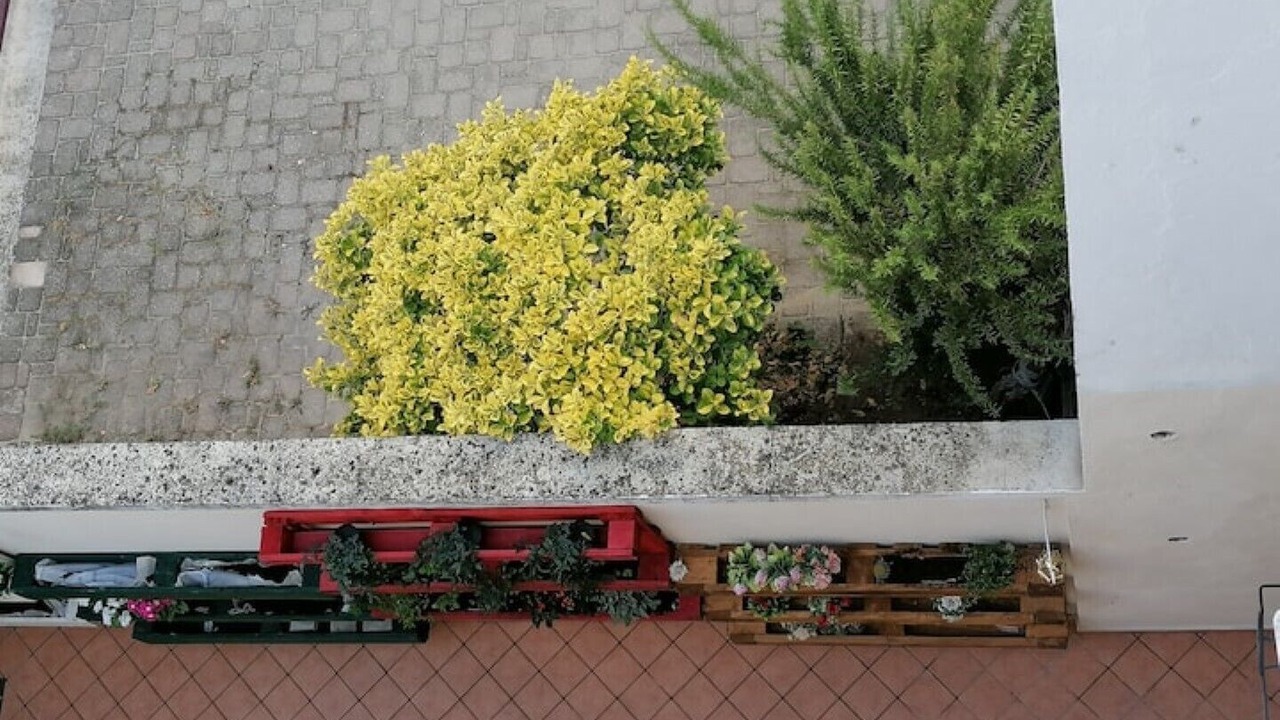 Photo of Outdoor in San Damiano dʼAsti