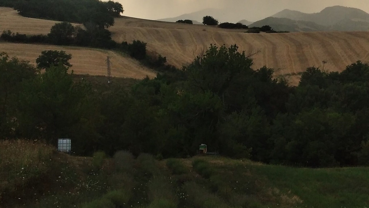 Photo of Others in Cagli