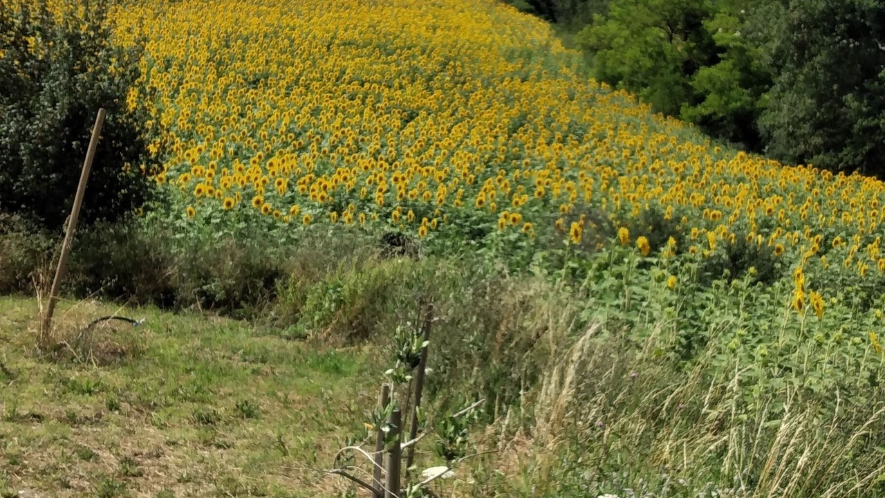 Photo of Outdoor in Cagli
