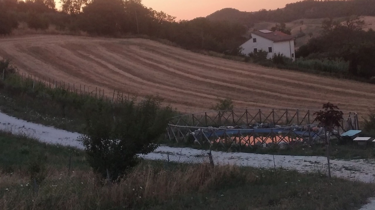 Photo of Others in Cagli