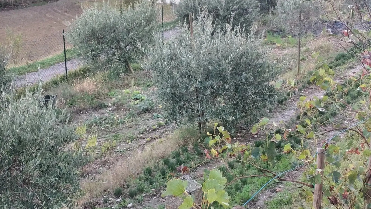 Photo of Outdoor in Cagli