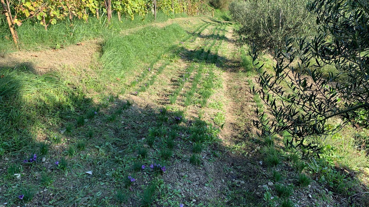Photo of Outdoor in Cagli