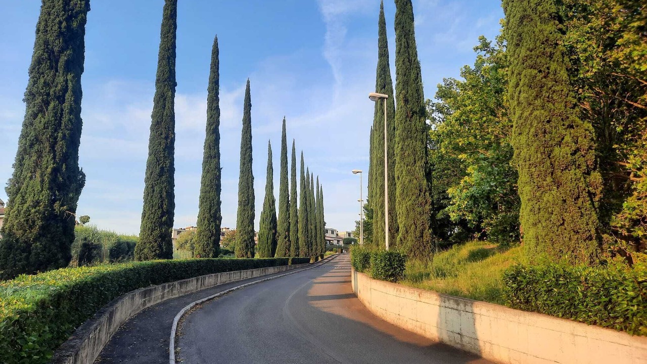 Photo of Others in Guidonia Montecelio