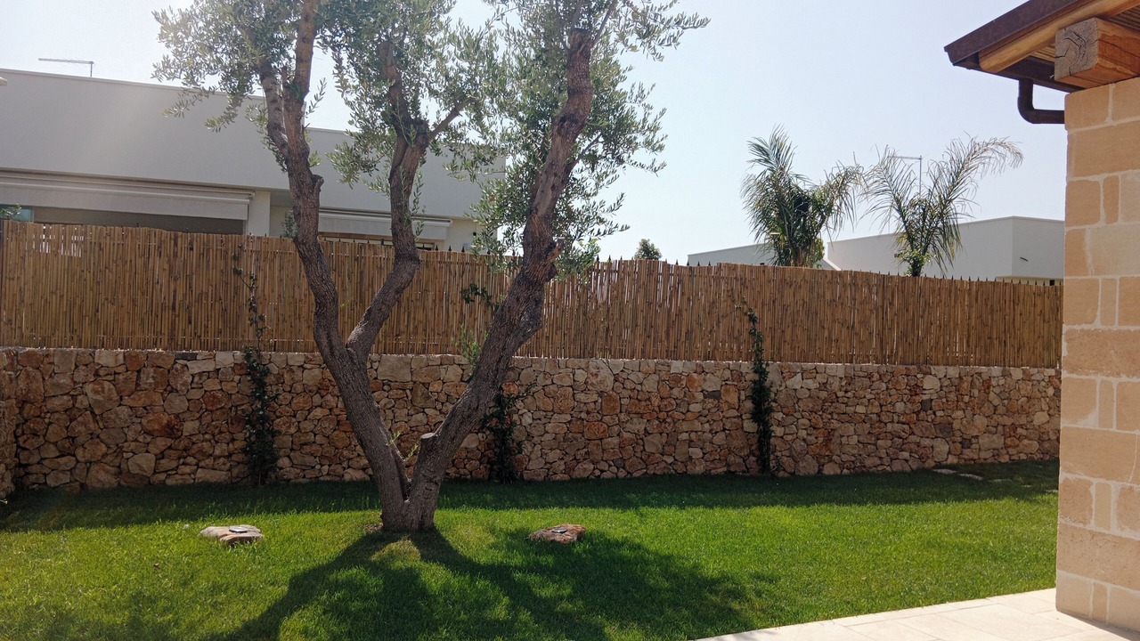 Photo of Outdoor in Taranto