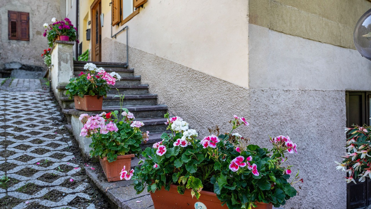 Photo of Outdoor in Celledizzo