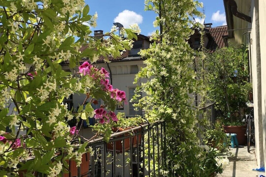 Photo of Outdoor in Roman Quarter