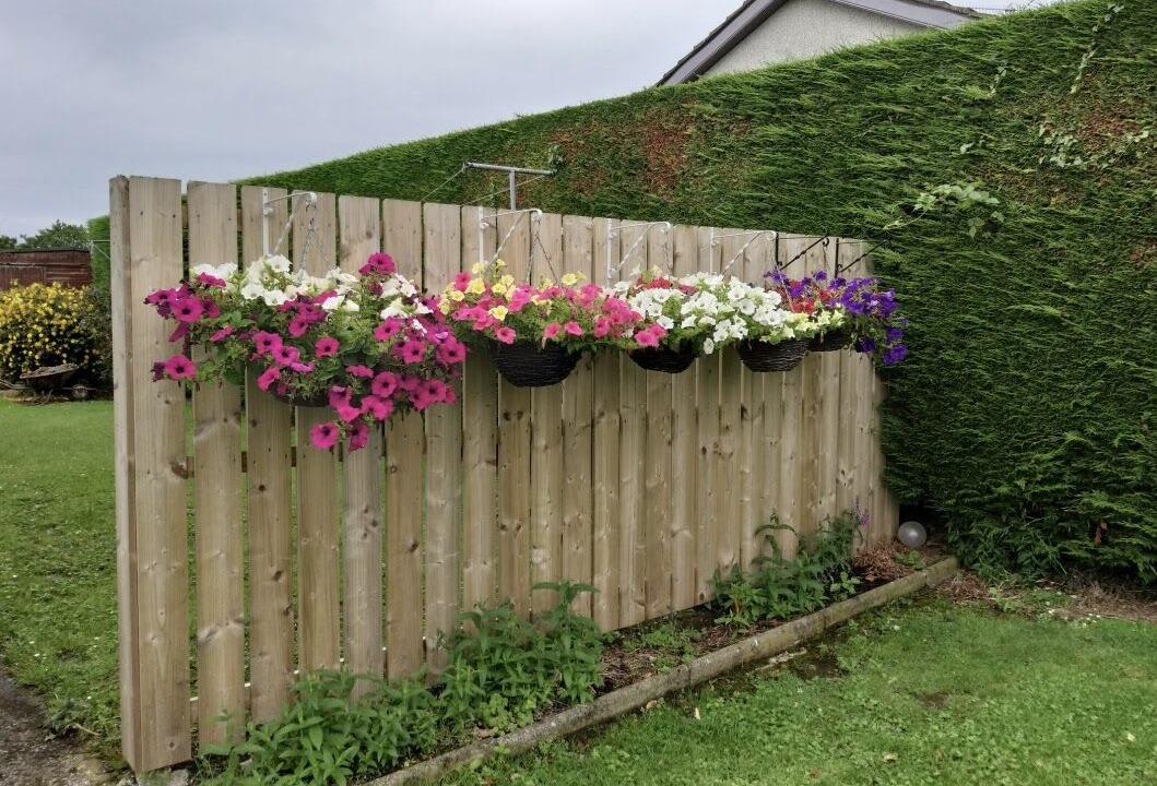 Photo of Outdoor in Craigavon