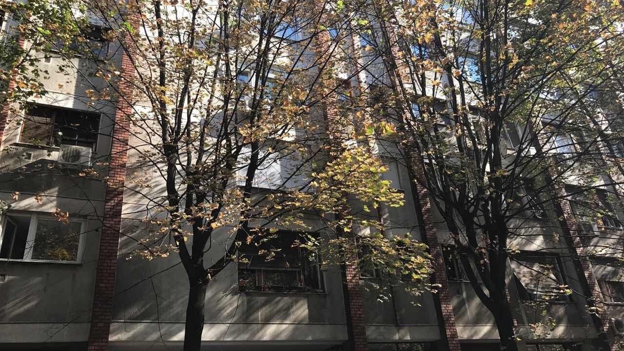 Photo of Outdoor in Vracar