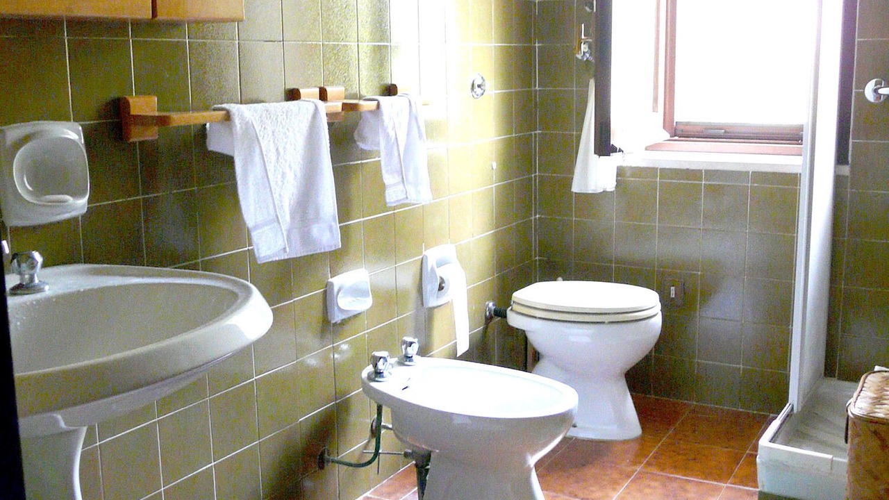 Photo of Bathroom in Scario