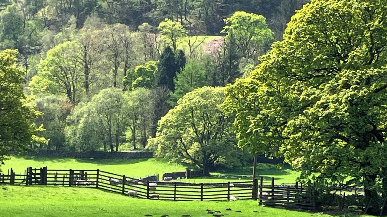 Photo of Others in Buckden