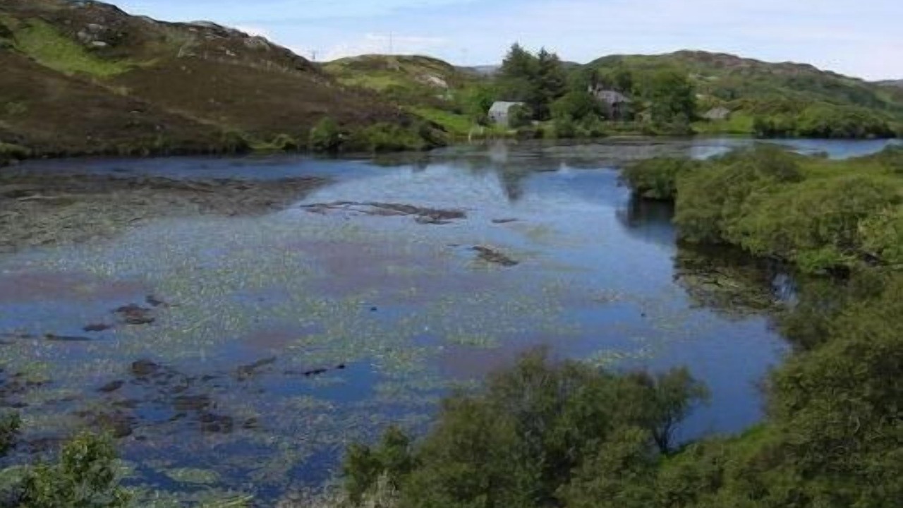 Photo of Others in Drumbeg