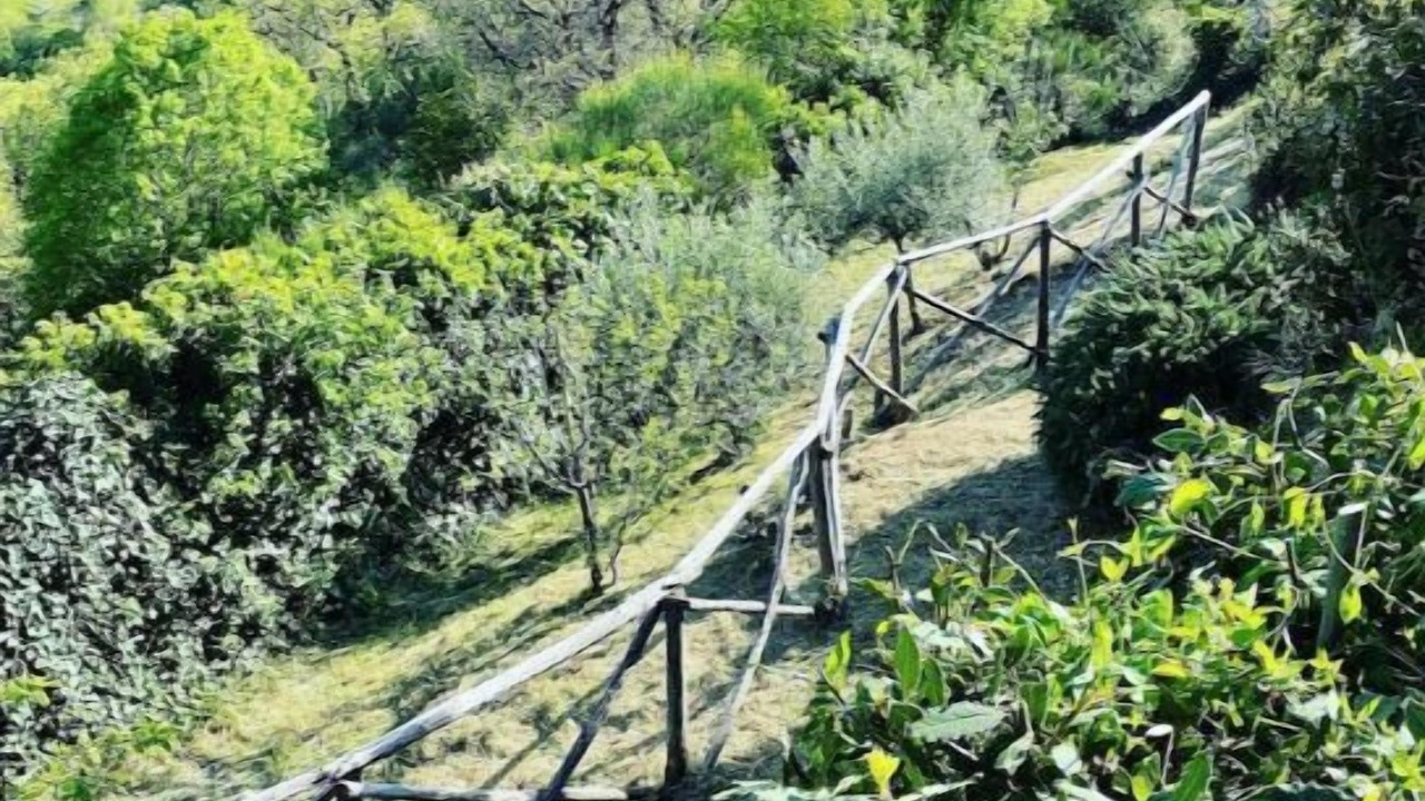 Photo of Others in Spoleto
