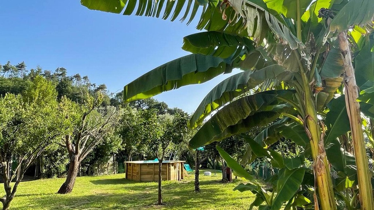 Photo of Outdoor in Massarosa