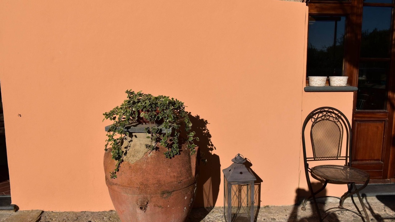 Photo of Outdoor in Massarosa