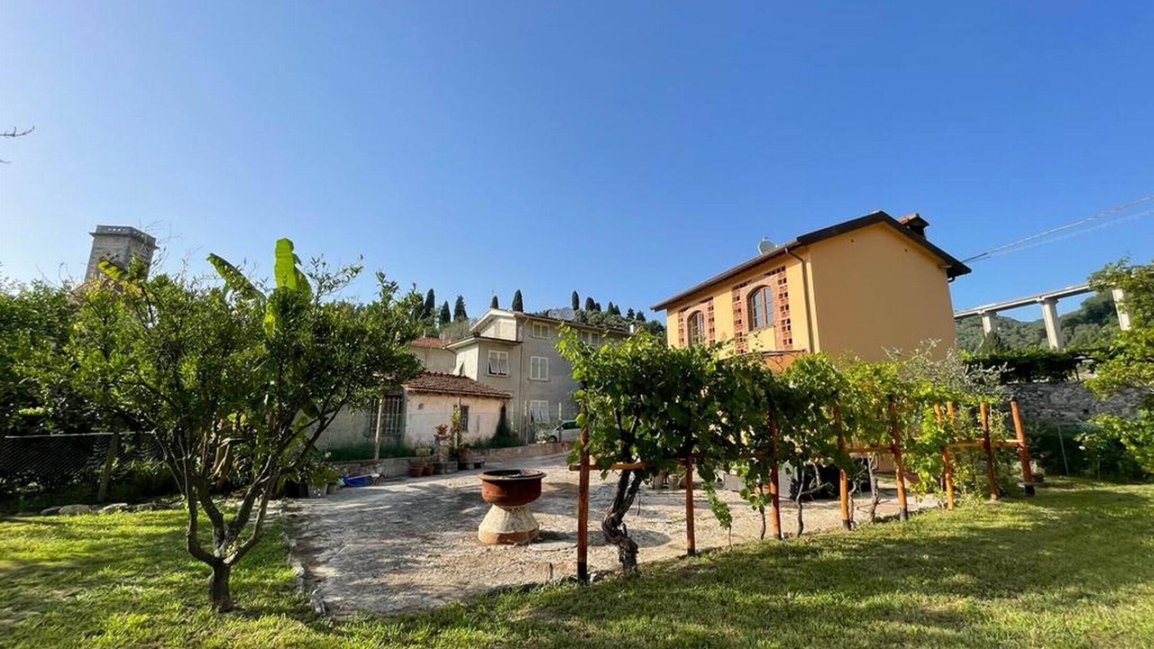 Photo of Others in Massarosa