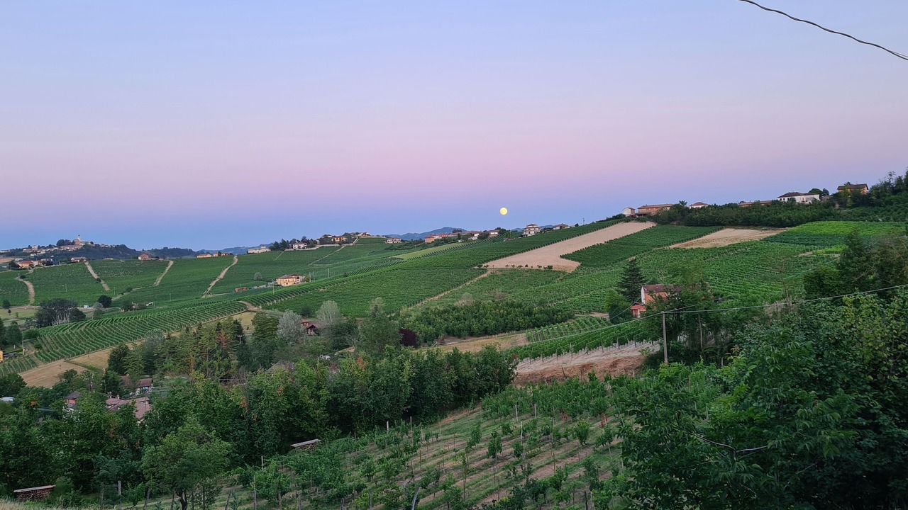 Photo of Outdoor in Moasca