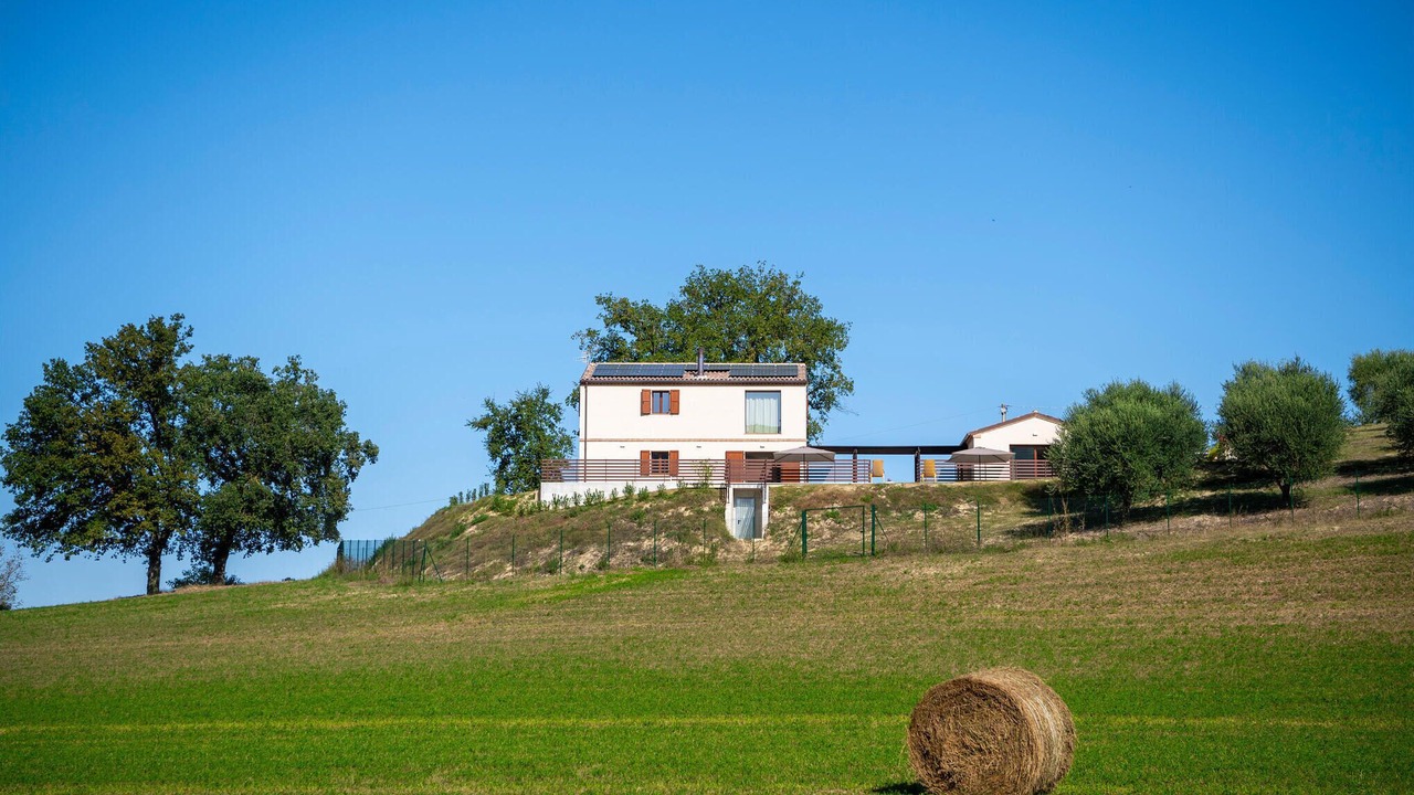 Photo of Others in Mogliano