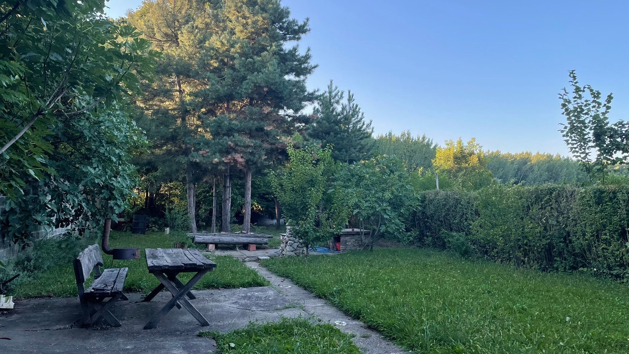Photo of Outdoor in Palilula