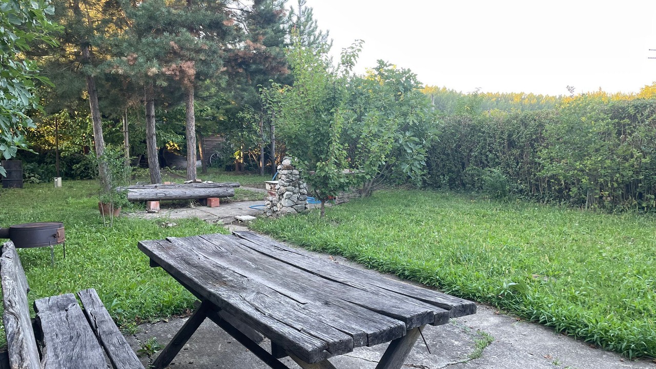 Photo of Outdoor in Palilula