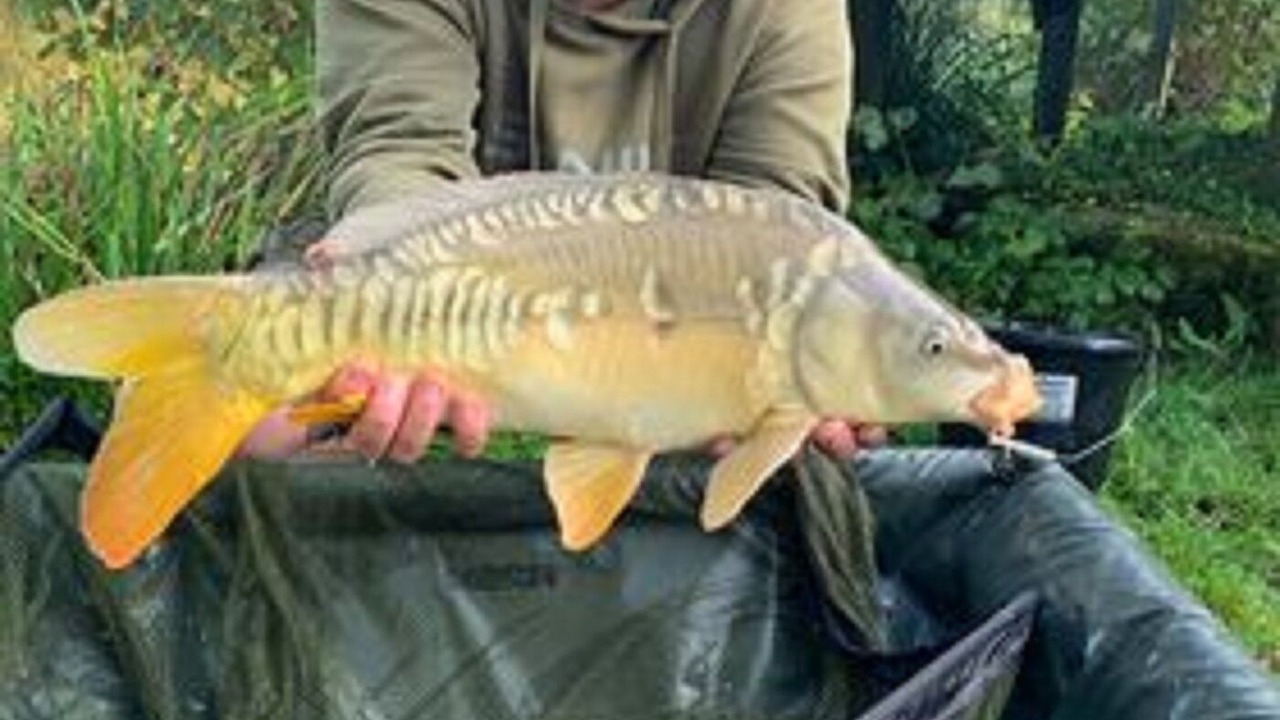Photo of Outdoor in Hadlow Down