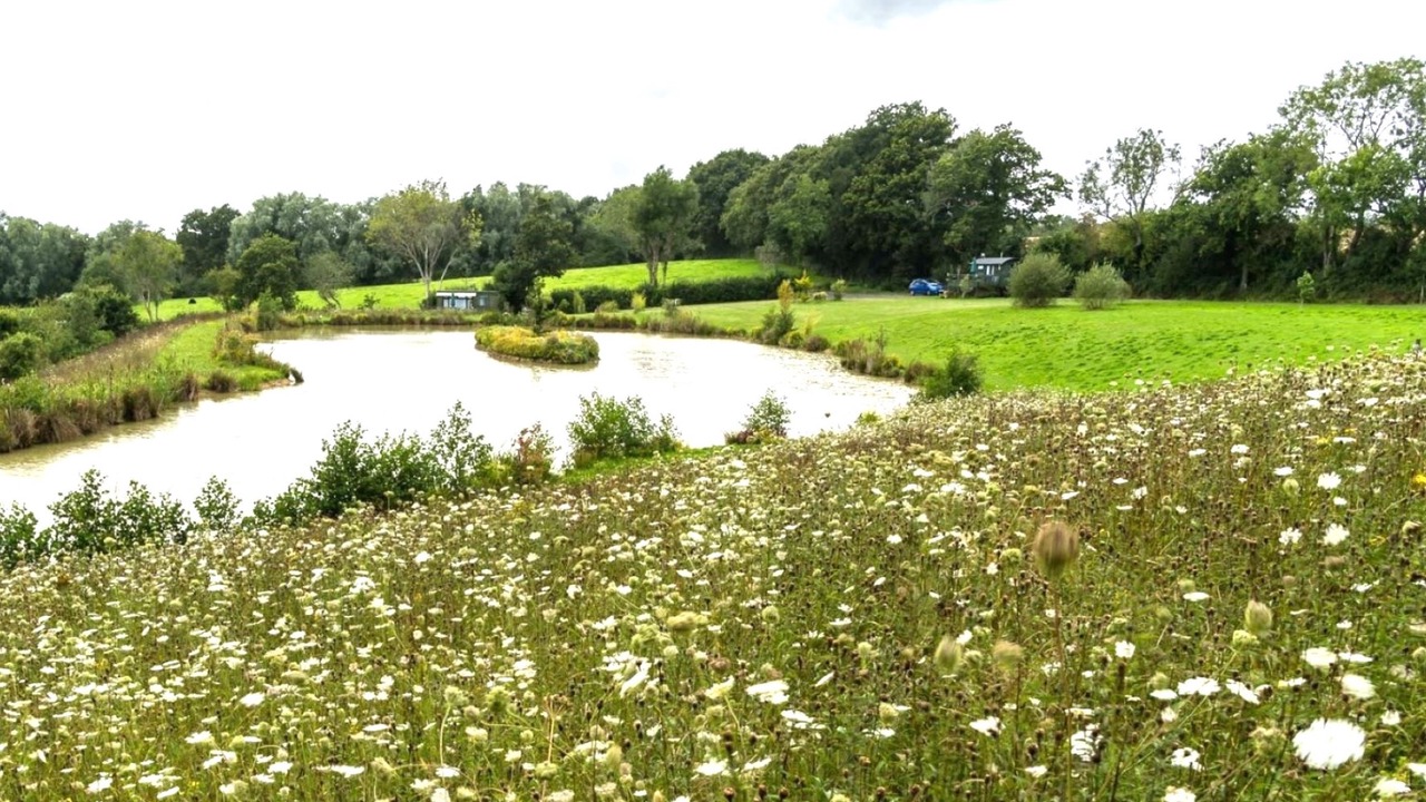 Photo of Outdoor in Hadlow Down
