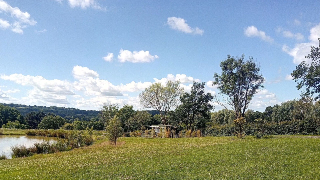 Photo of Outdoor in Hadlow Down