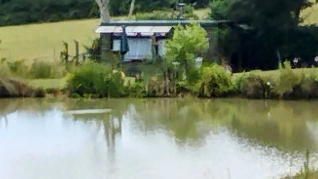 Photo of Outdoor in Hadlow Down