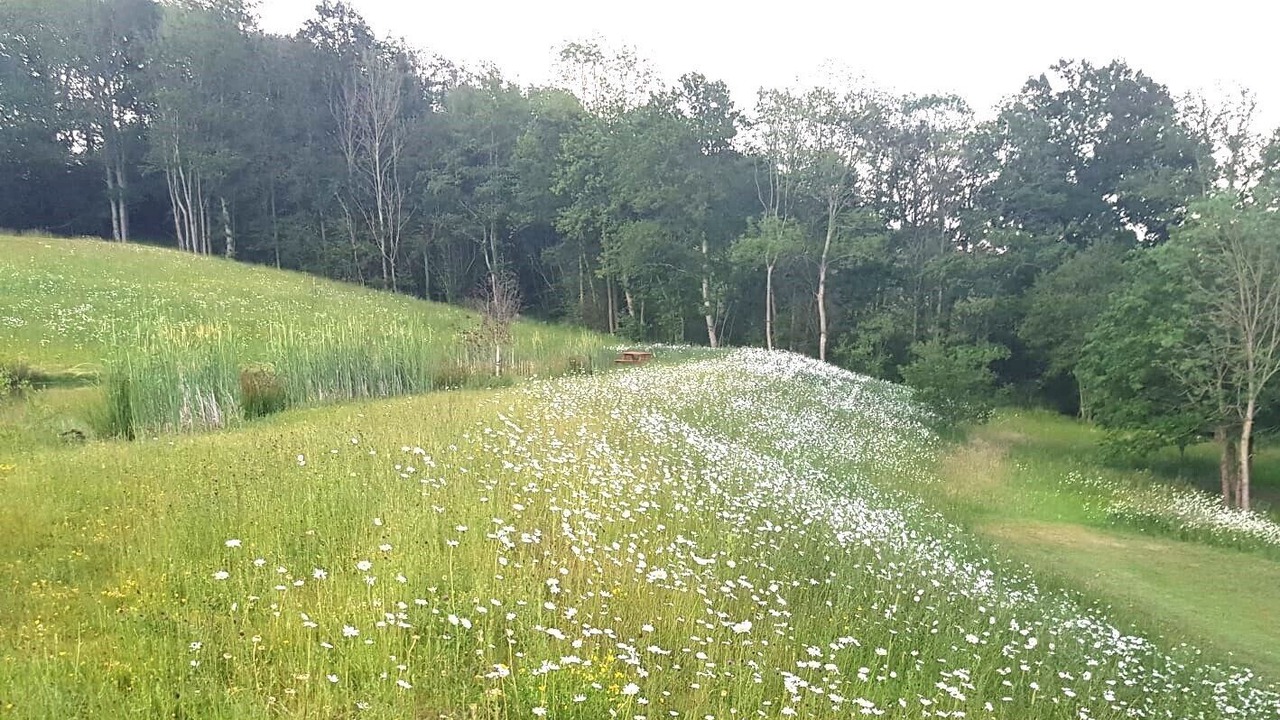 Photo of Outdoor in Hadlow Down