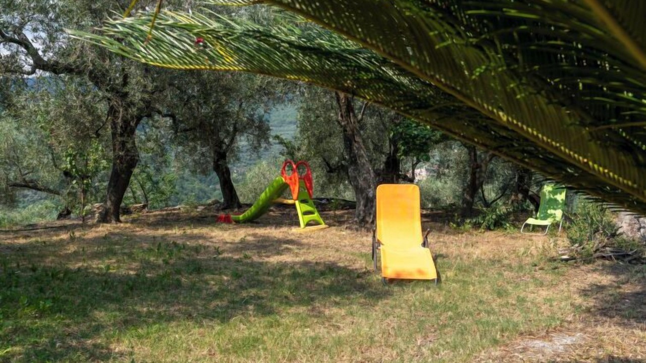 Photo of Others in Gazzelli