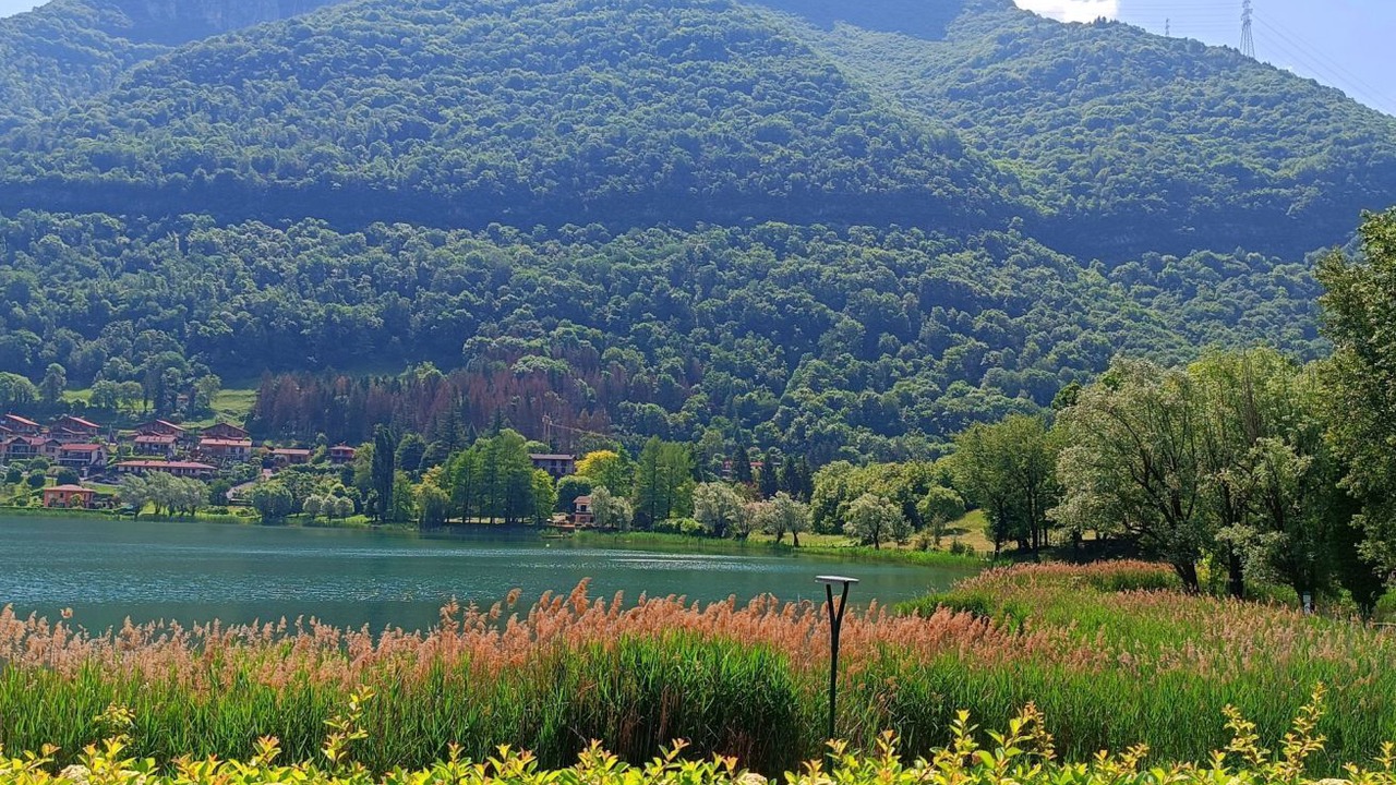 Photo of Others in Spinone Al Lago