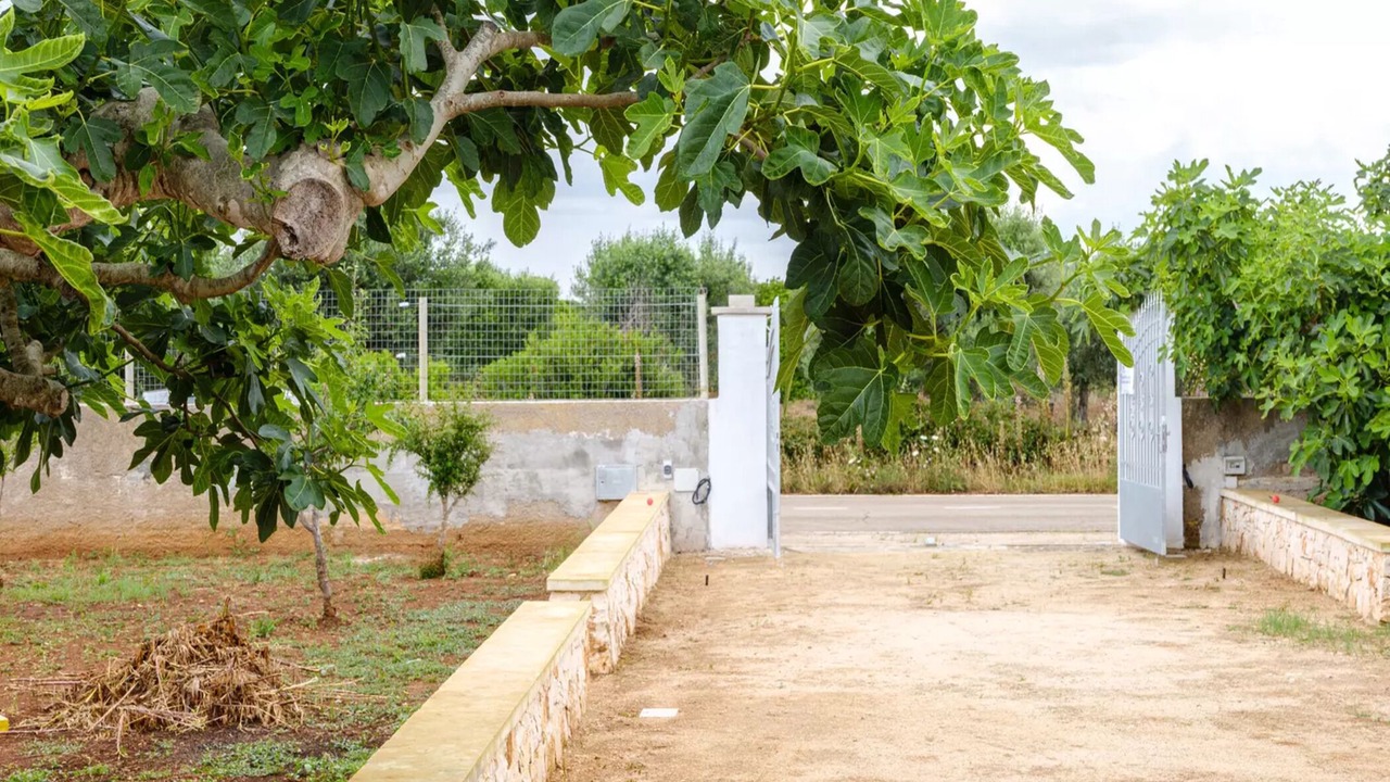 Photo of Outdoor in Padula Fede