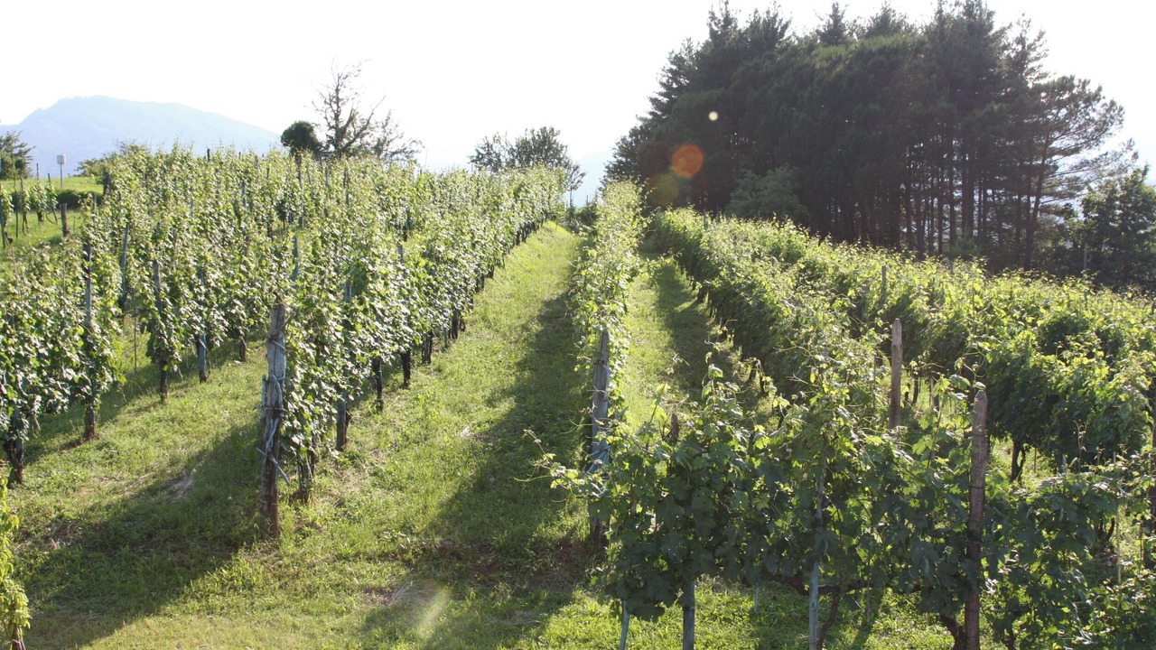 Photo of Outdoor in Masero