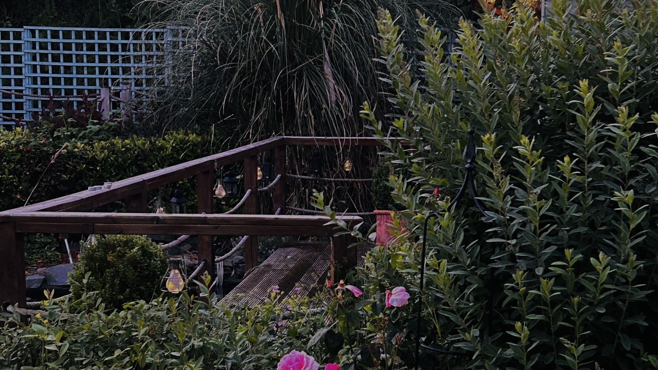 Photo of Outdoor in Downpatrick