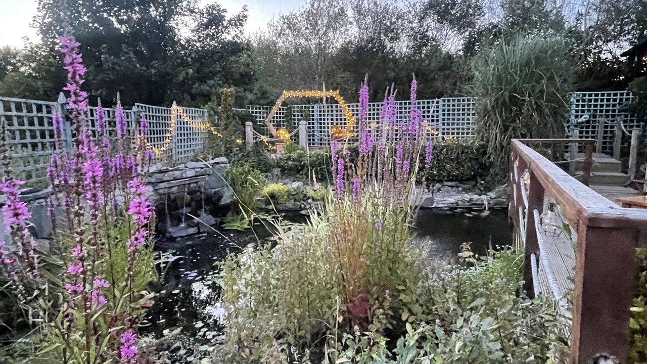 Photo of Outdoor in Downpatrick