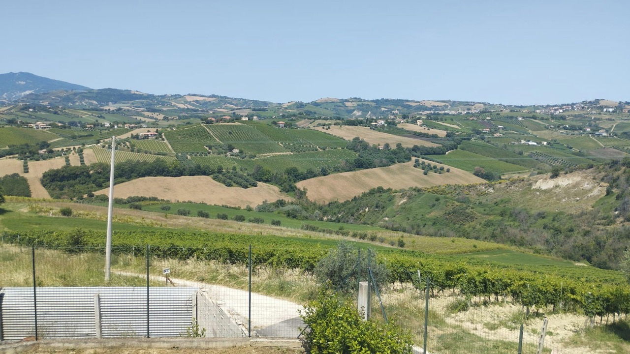 Photo of Others in Offida