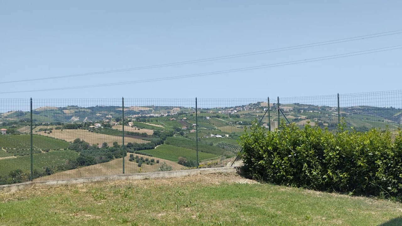 Photo of Outdoor in Offida
