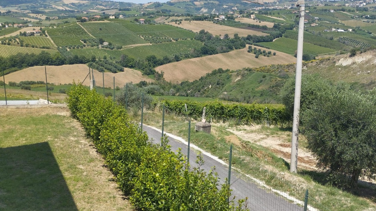 Photo of Outdoor in Offida