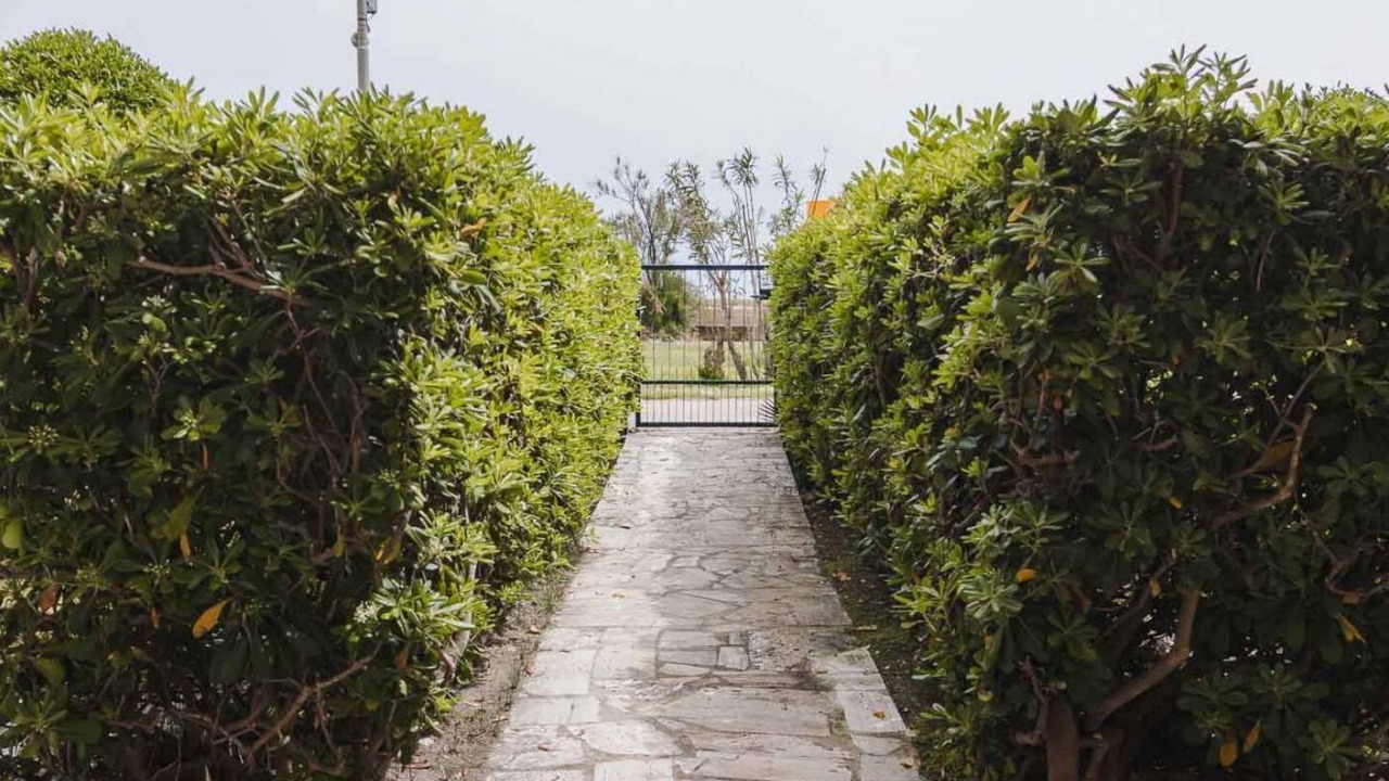 Photo of Outdoor in Lido di Fermo