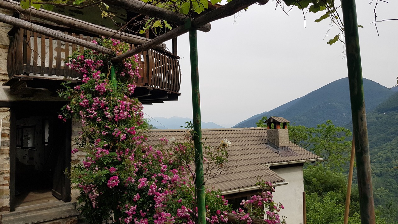 Photo of Outdoor in Lunecco