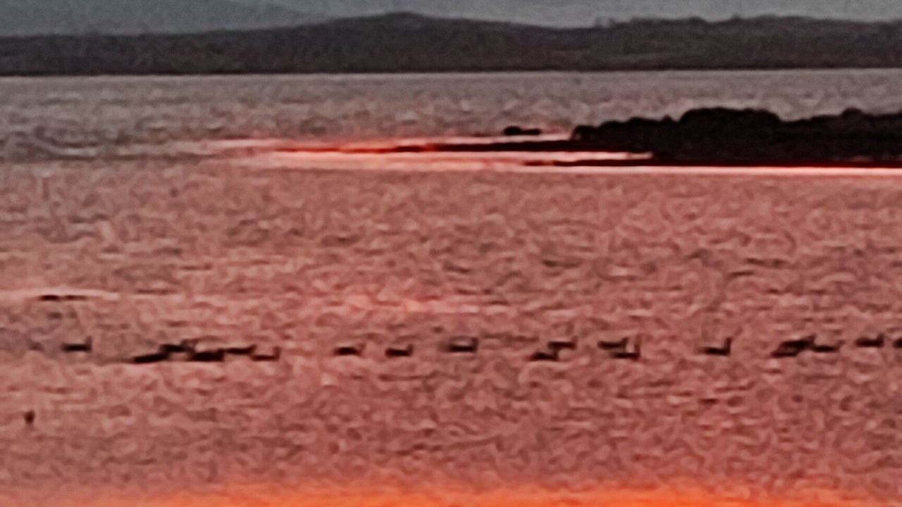 Photo of Others in Portaferry