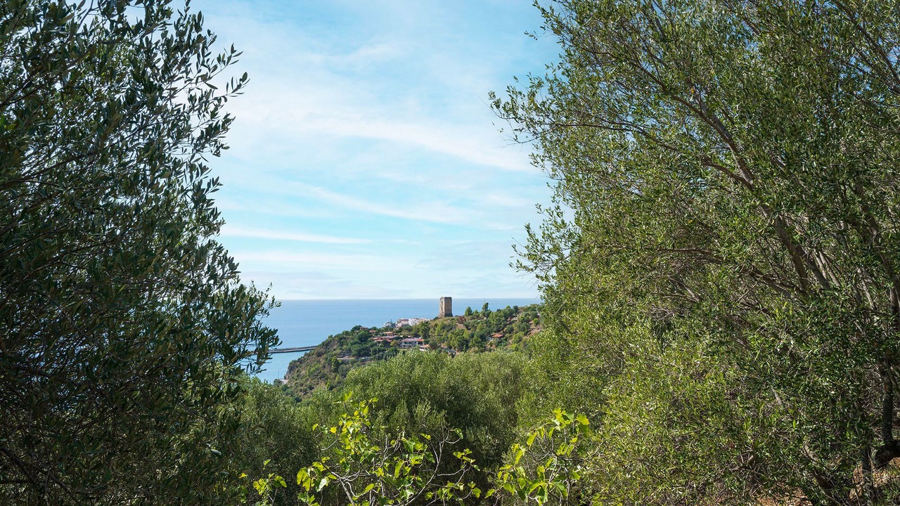 Photo of Others in Marina Di Camerota