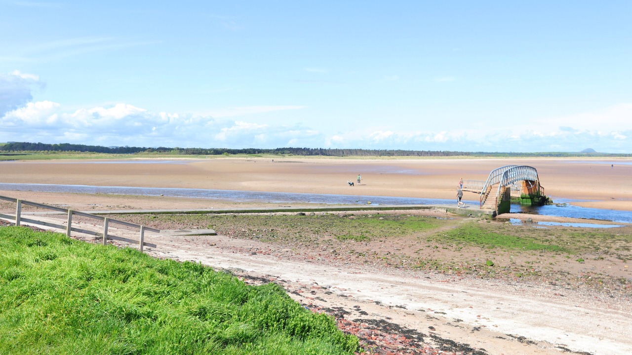 Photo of Others in Dunbar